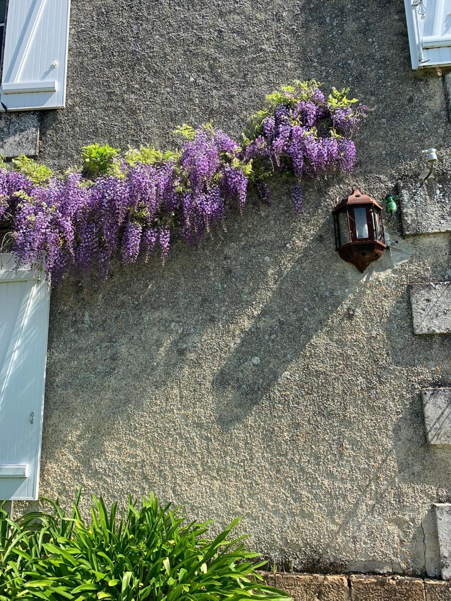 No5 Chambre D'Hotes Courcome Eksteriør bilde